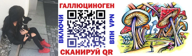 Псилоцибиновые грибы мицелий Карабулак